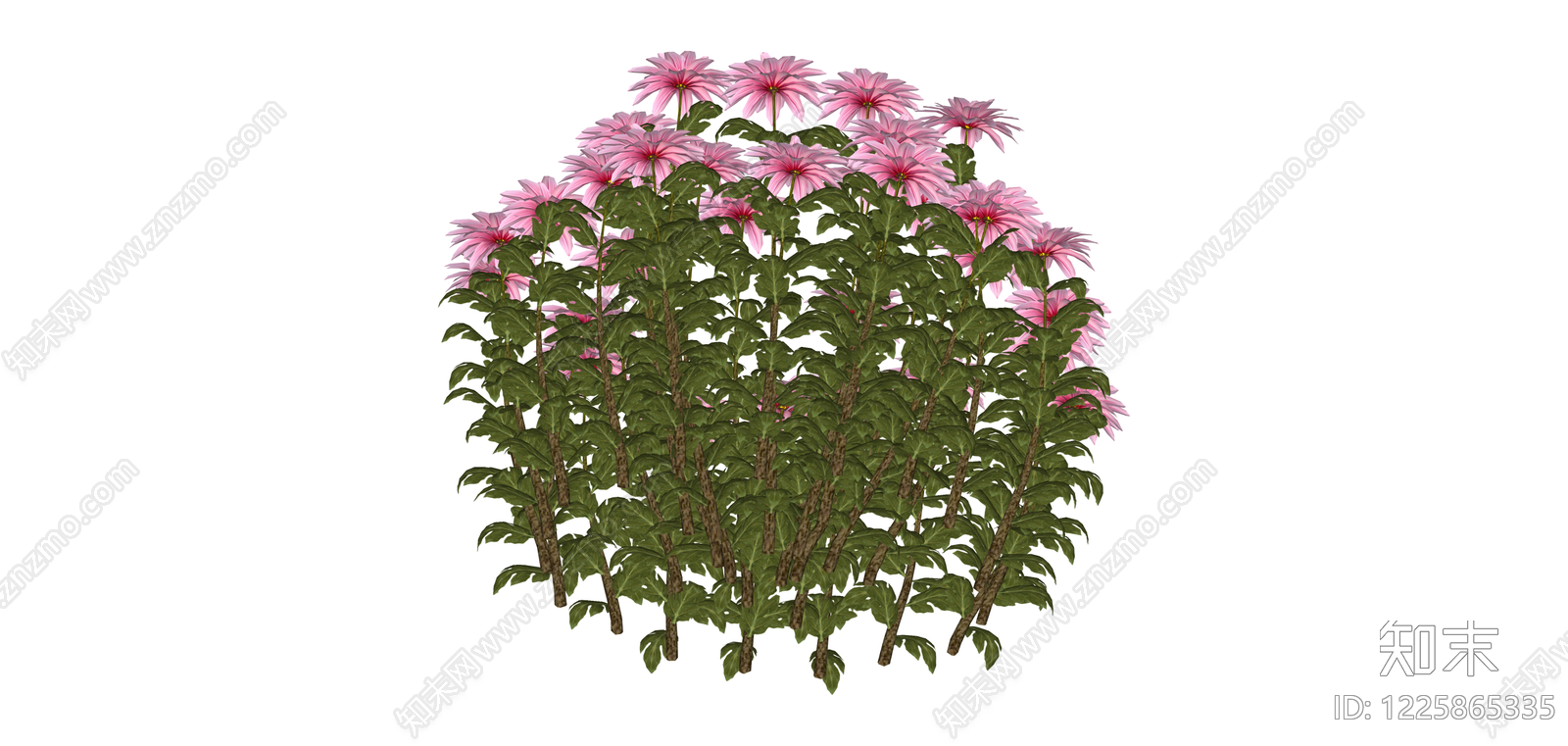 粉色花丛灌木SU模型下载【ID:1225865335】