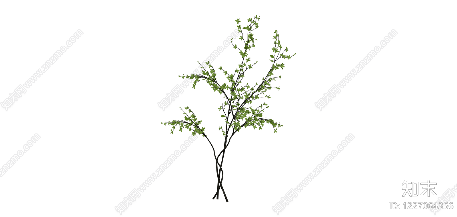 仿真绿植树枝SU模型下载【ID:1227064356】