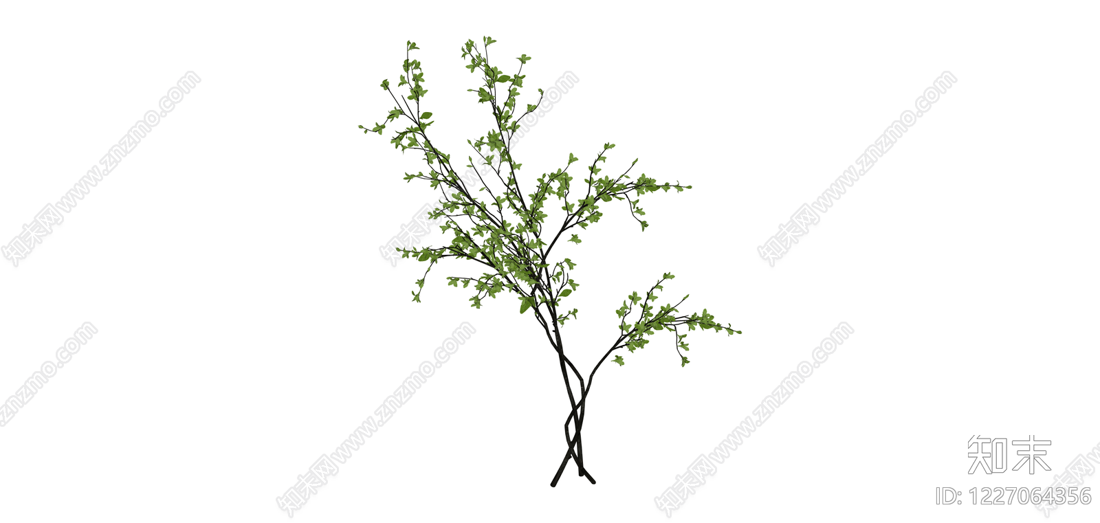 仿真绿植树枝SU模型下载【ID:1227064356】