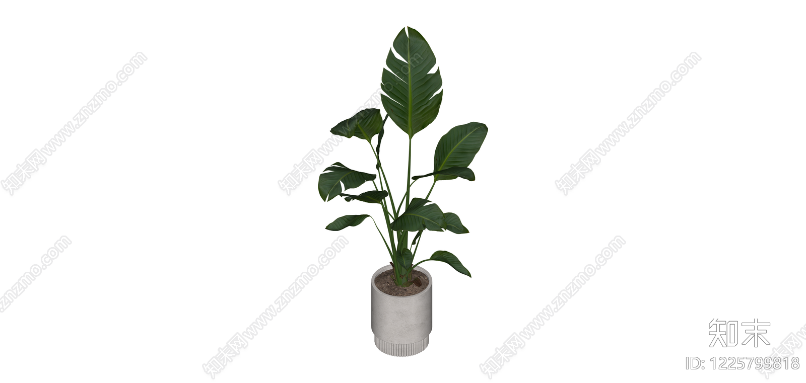 带盆绿植盆栽SU模型下载【ID:1225799818】