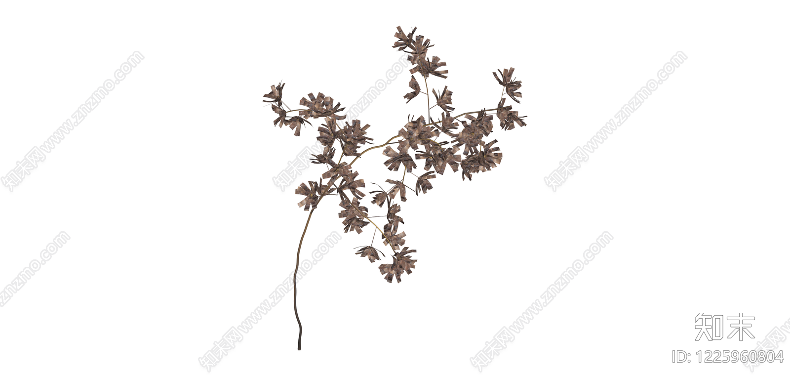 干燥植物枝条SU模型下载【ID:1225960804】