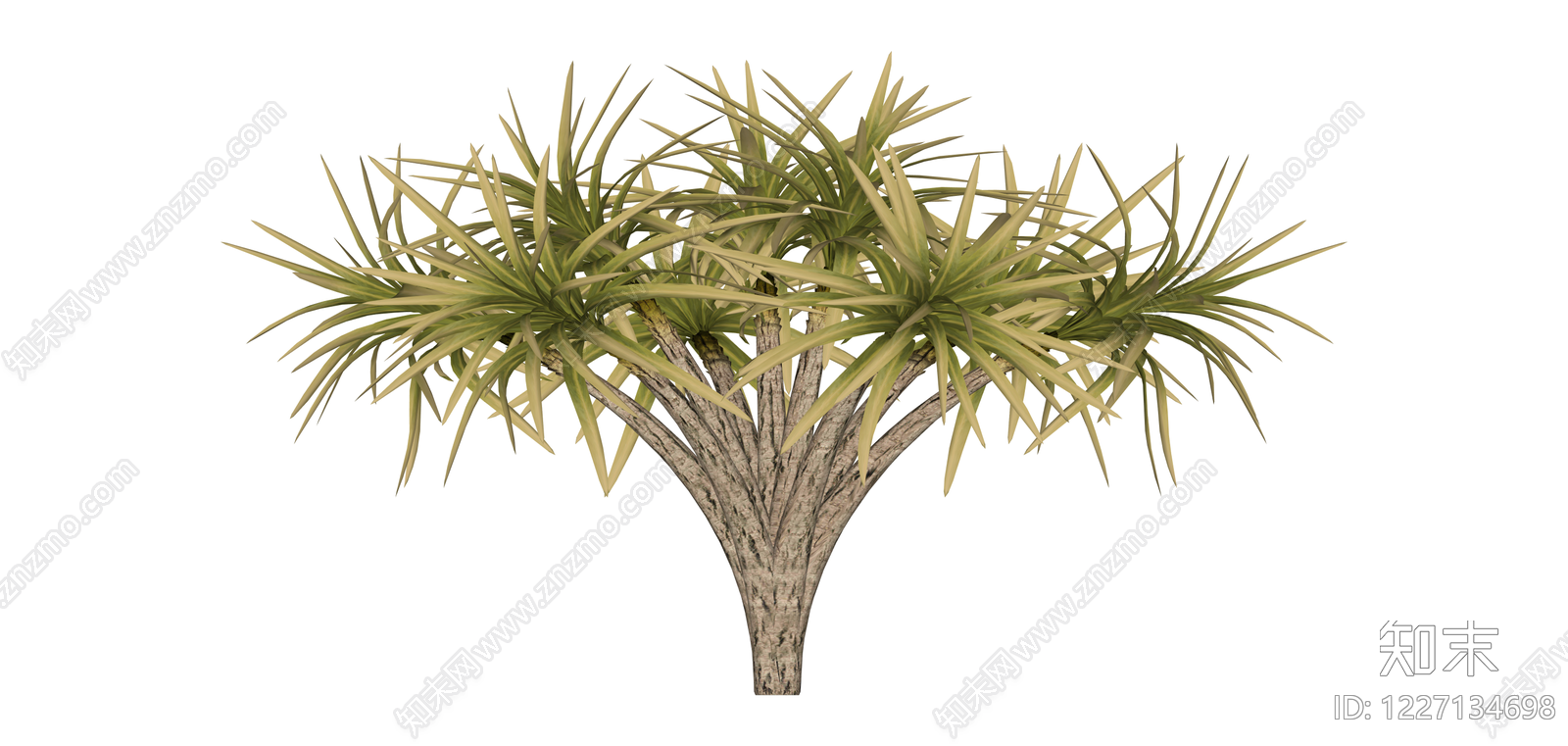 分叉龙血树绿植模型SU模型下载【ID:1227134698】