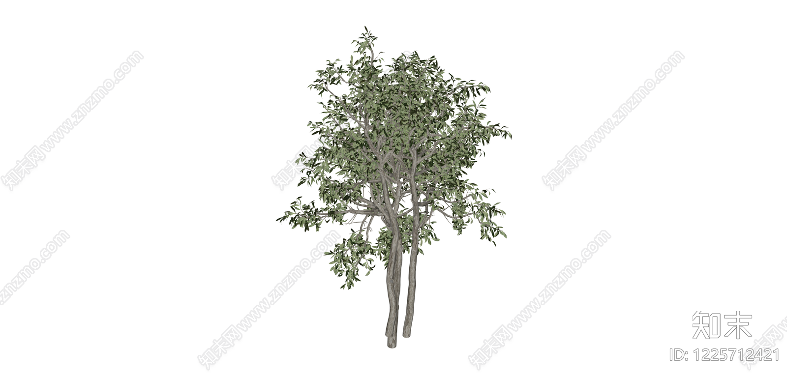 双干景观乔木模型SU模型下载【ID:1225712421】