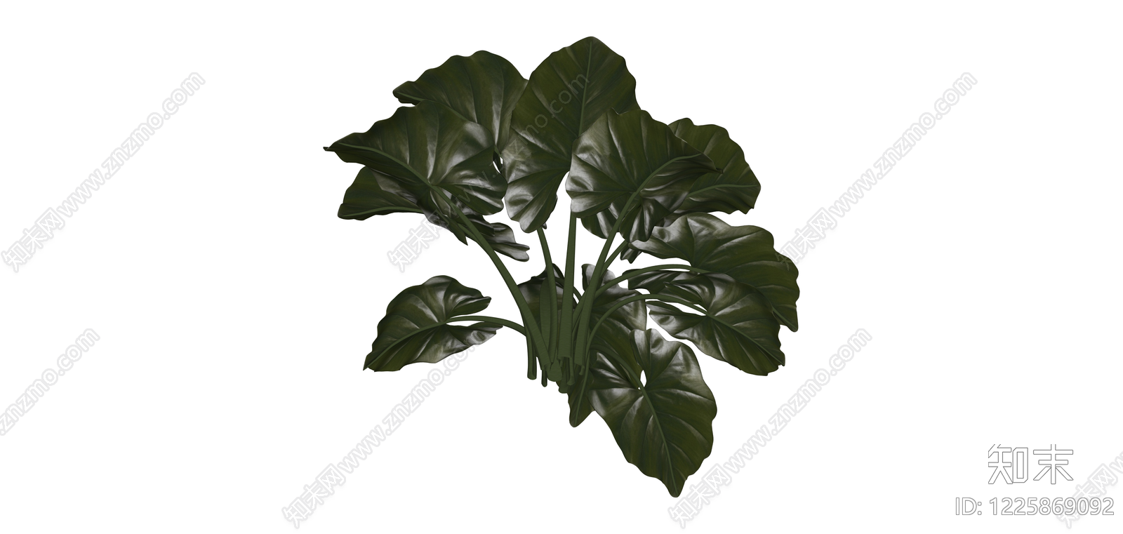 深绿阔叶盆栽植物SU模型下载【ID:1225869092】
