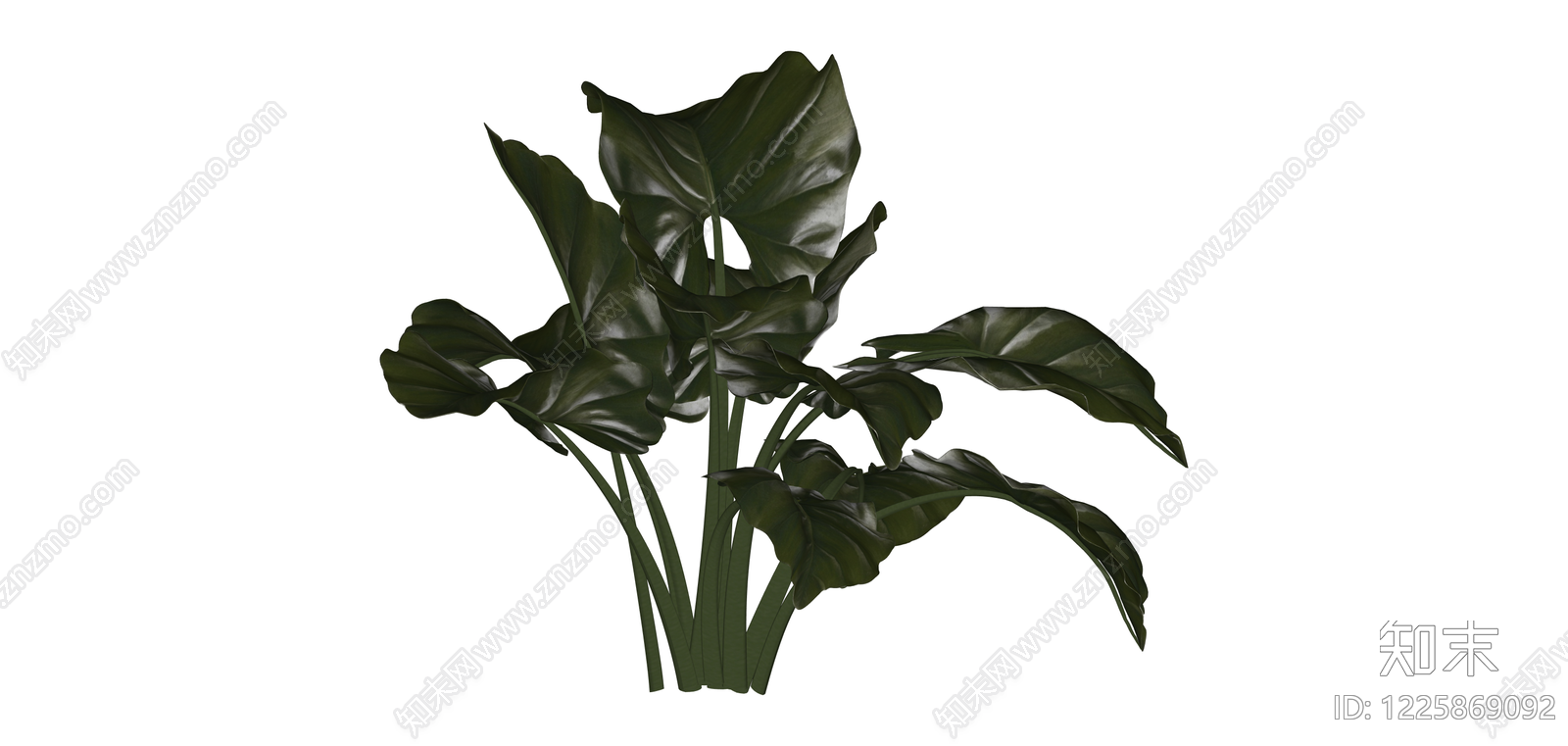 深绿阔叶盆栽植物SU模型下载【ID:1225869092】