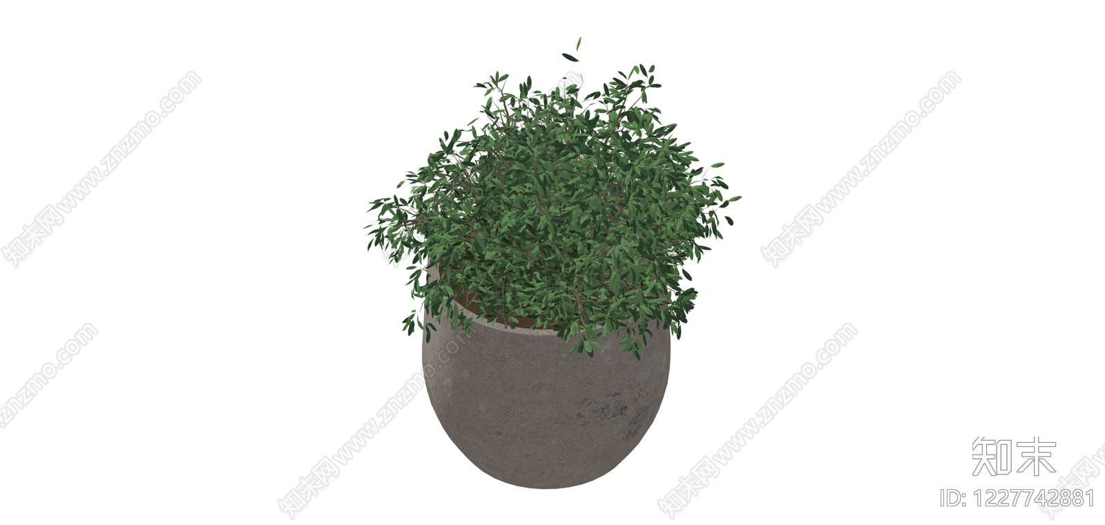水泥盆绿植盆栽SU模型下载【ID:1227742881】