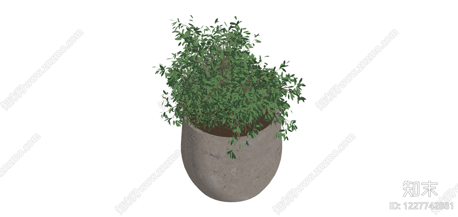 水泥盆绿植盆栽SU模型下载【ID:1227742881】
