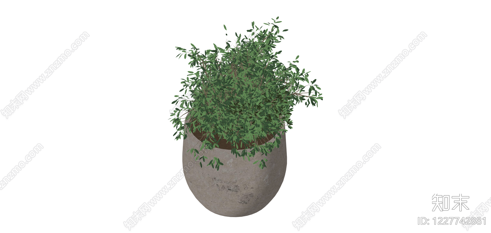 水泥盆绿植盆栽SU模型下载【ID:1227742881】