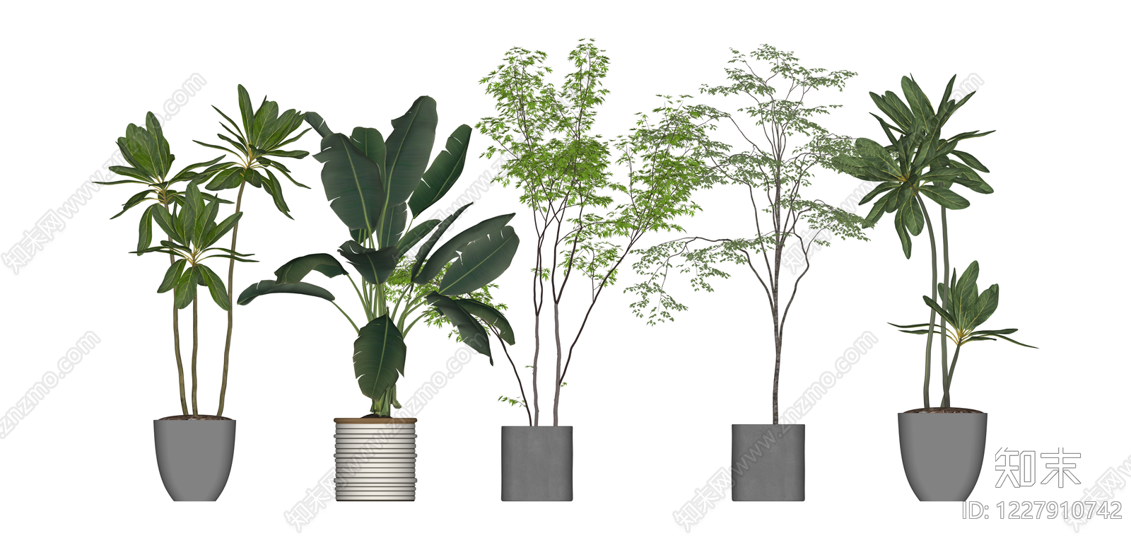 多株组合盆栽绿植SU模型下载【ID:1227910742】