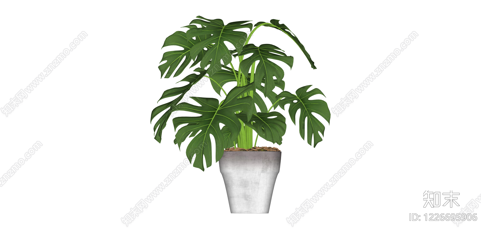 带盆龟背竹盆栽SU模型下载【ID:1226695906】