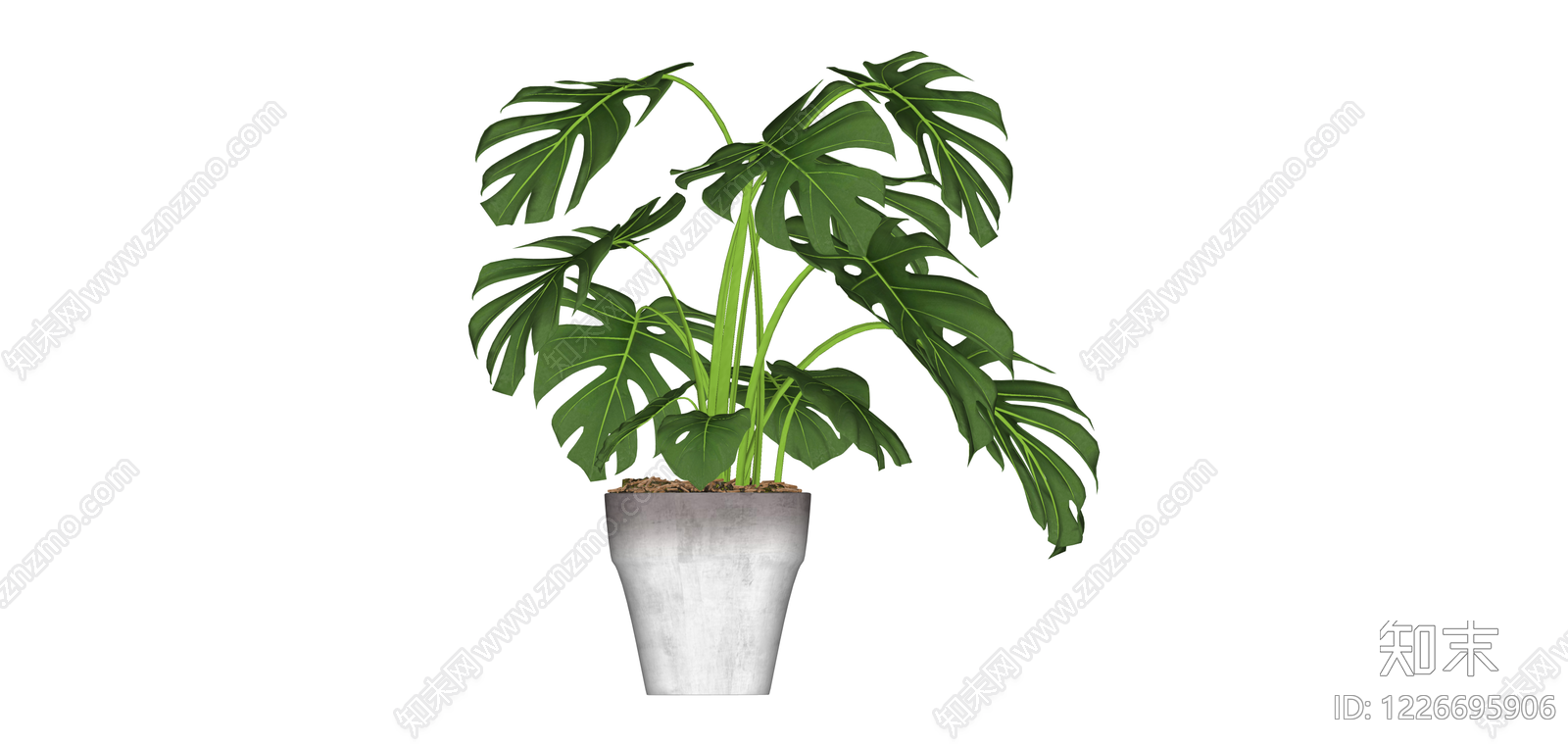 带盆龟背竹盆栽SU模型下载【ID:1226695906】