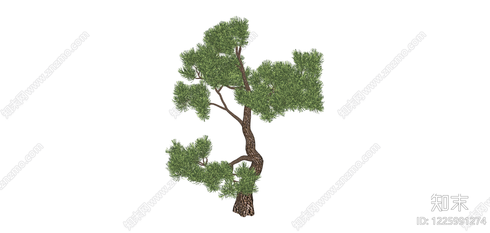 造型松树景观树SU模型下载【ID:1225991274】