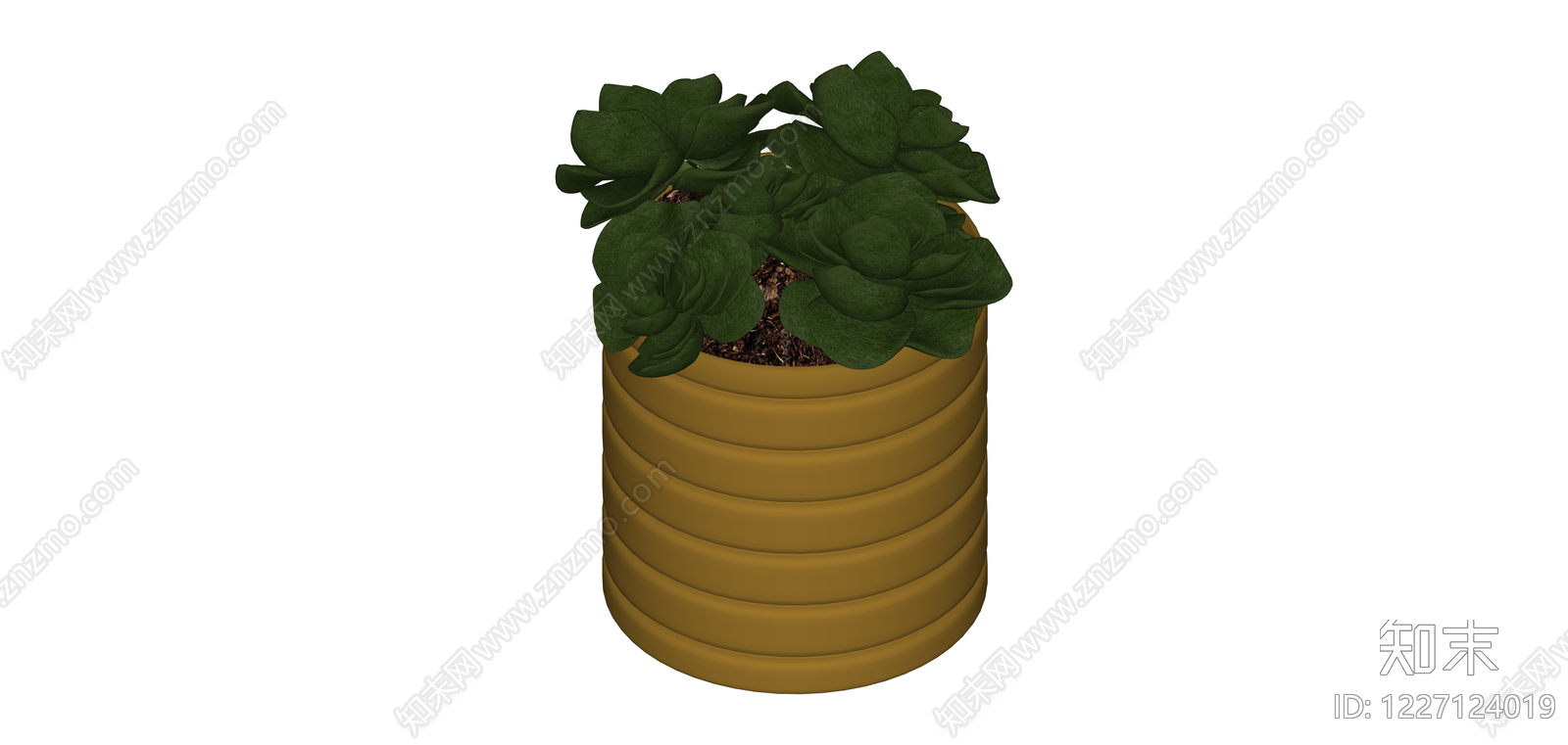 条纹陶土盆栽绿植SU模型下载【ID:1227124019】