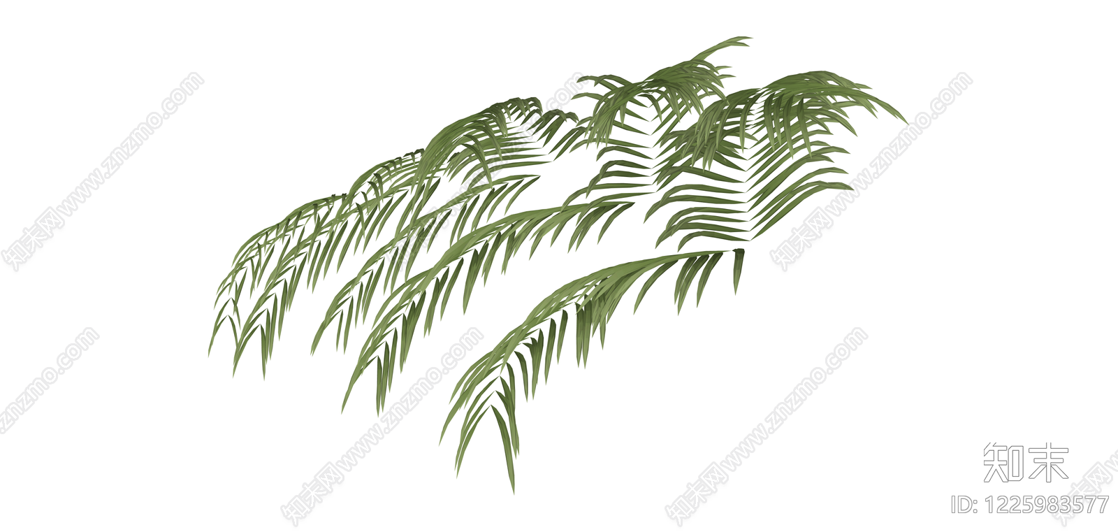 棕榈叶植物模型SU模型下载【ID:1225983577】
