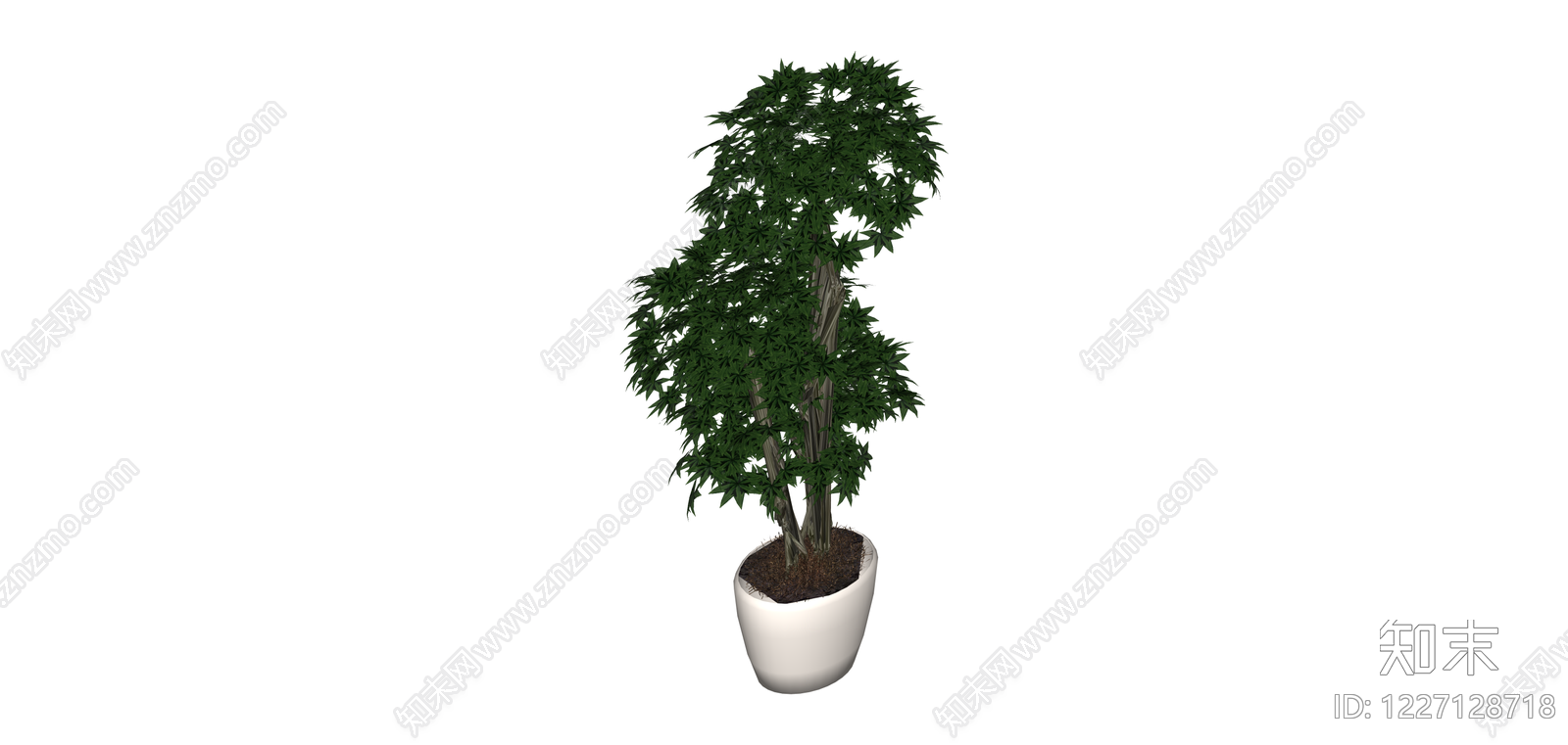 白盆绿叶盆栽植物SU模型下载【ID:1227128718】