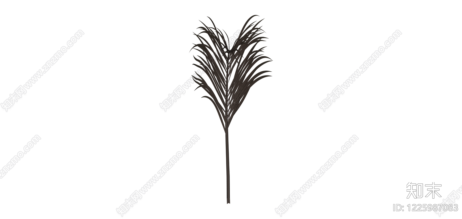 深色棕榈植物单枝SU模型下载【ID:1225987083】