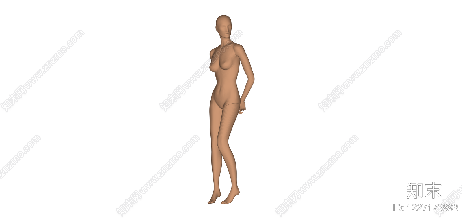 女性人体模型SU模型下载【ID:1227173993】
