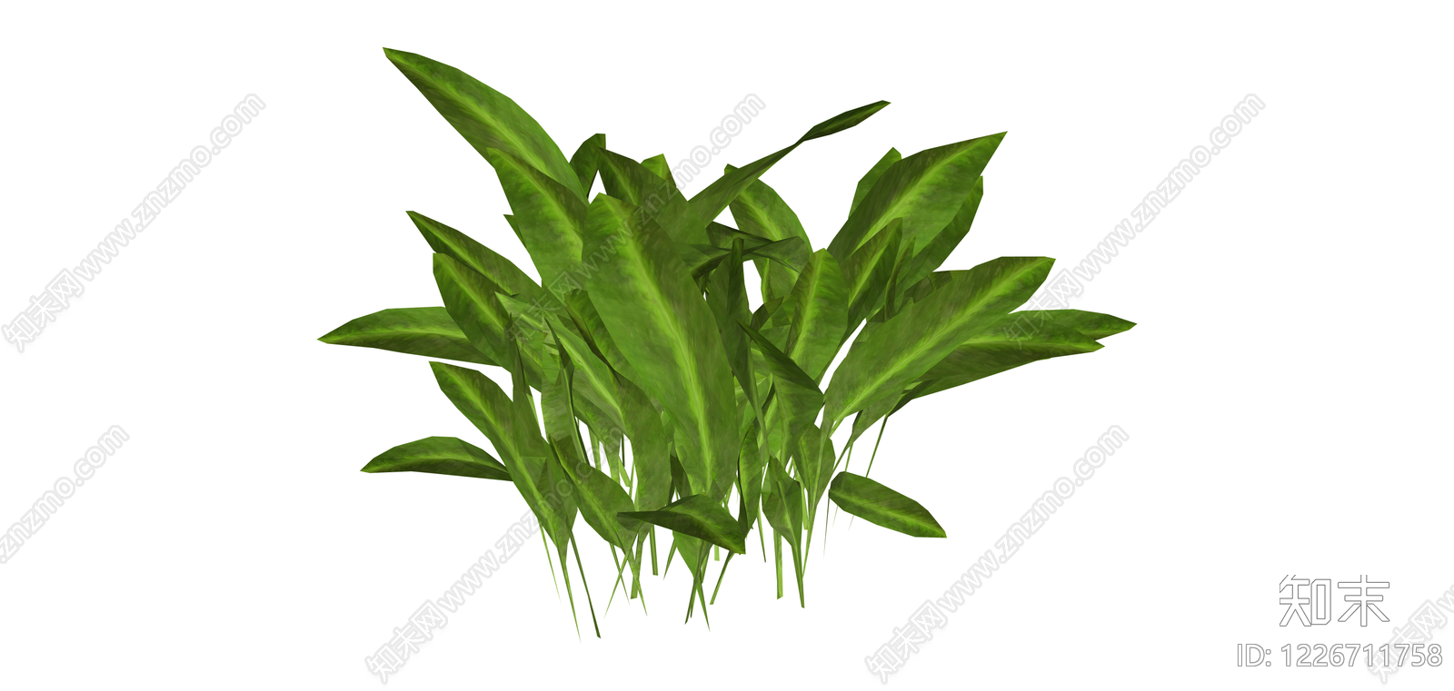 丛生阔叶绿植模型SU模型下载【ID:1226711758】