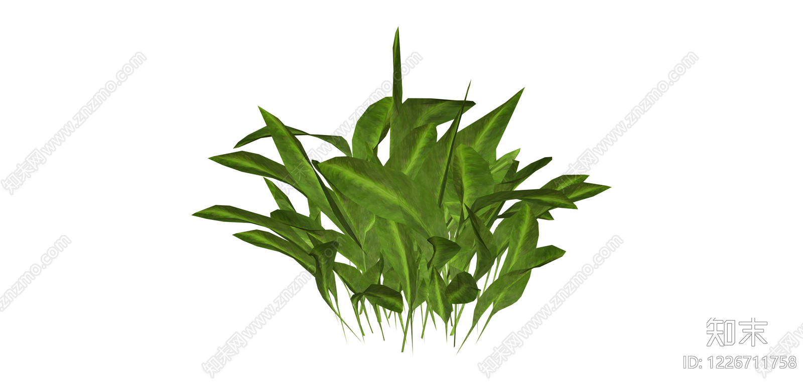 丛生阔叶绿植模型SU模型下载【ID:1226711758】