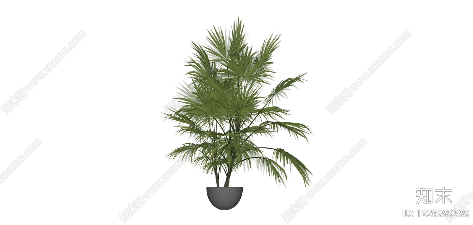 带盆棕榈绿植盆栽SU模型下载【ID:1226999599】