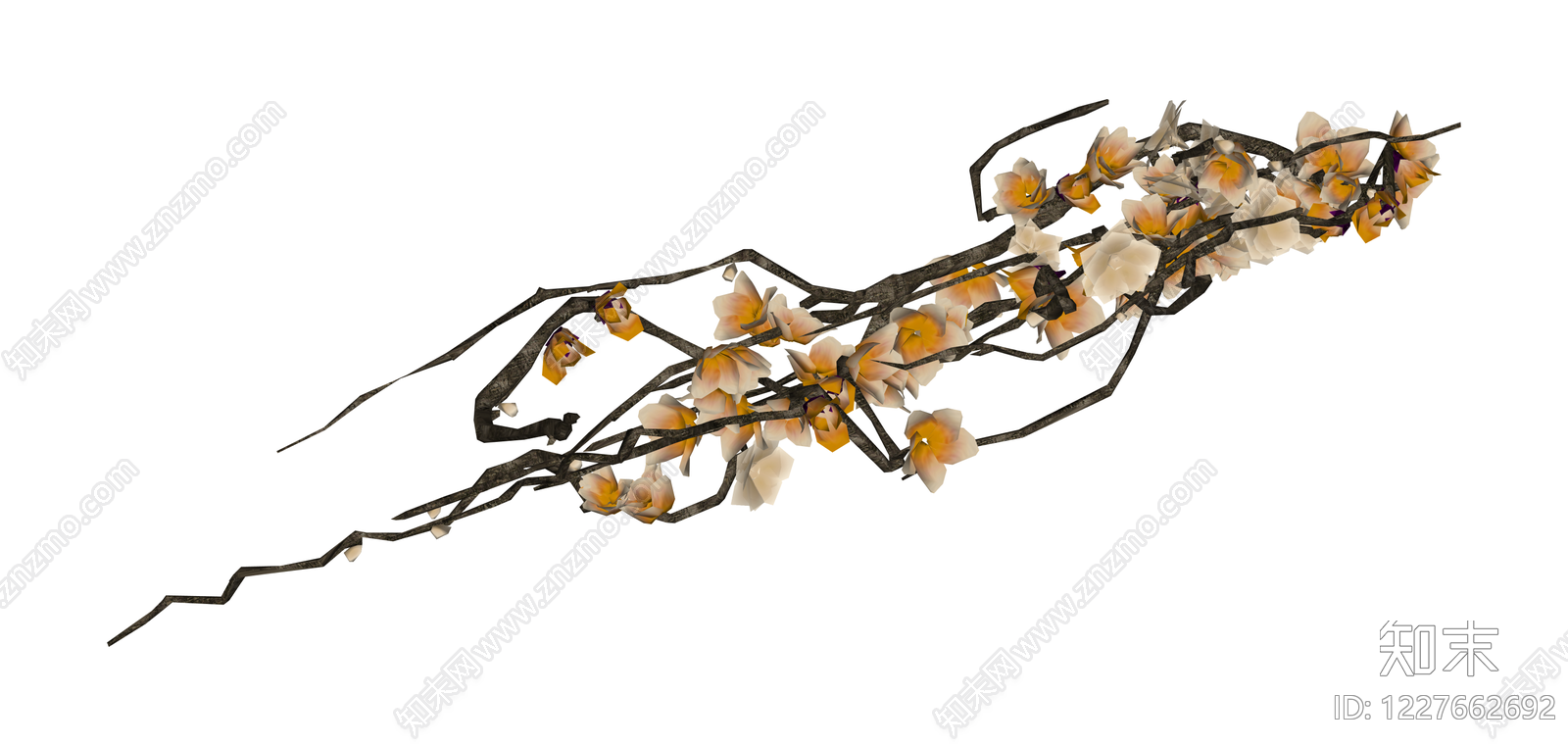 带花腊梅枯枝SU模型下载【ID:1227662692】