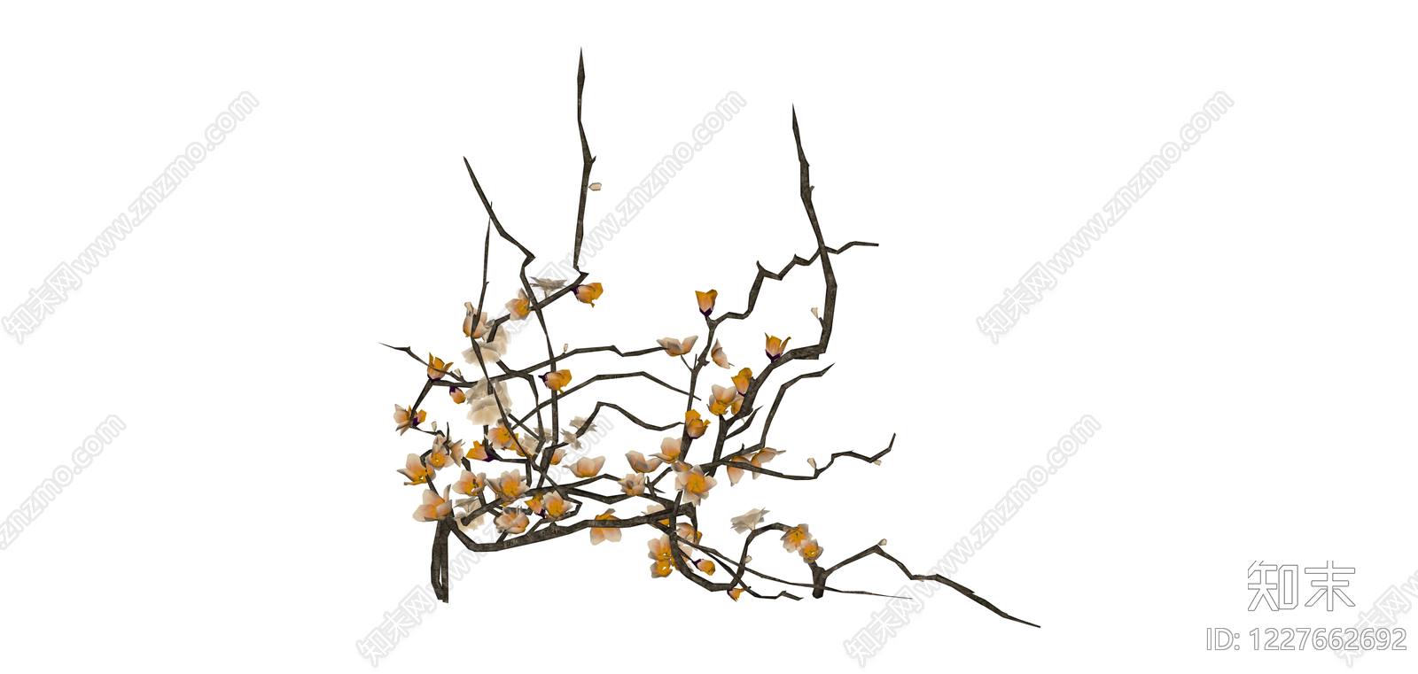 带花腊梅枯枝SU模型下载【ID:1227662692】