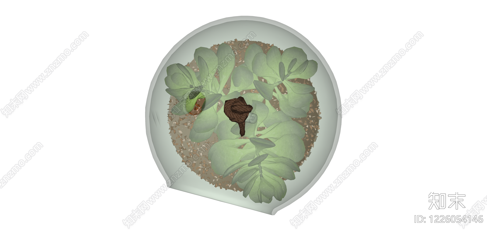 悬挂玻璃多肉盆栽SU模型下载【ID:1226054146】