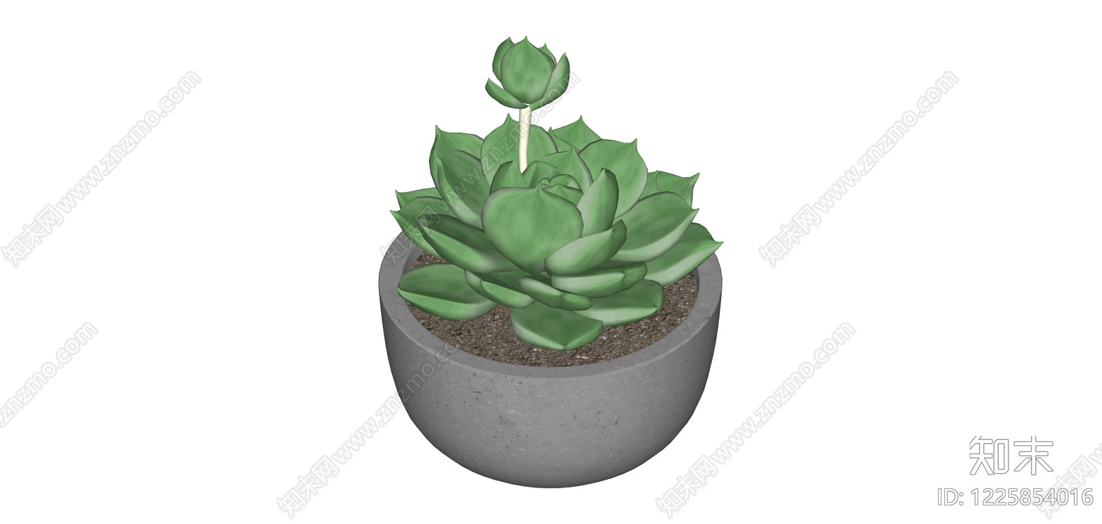 盆栽多肉植物SU模型下载【ID:1225854016】