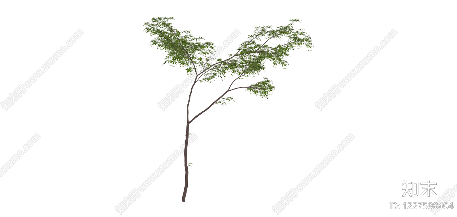 绿色景观树木SU模型下载【ID:1227598404】