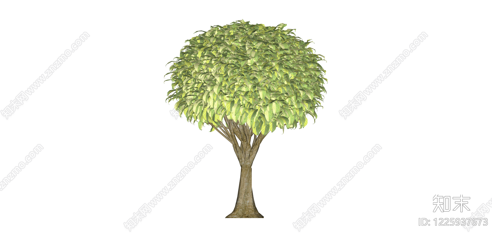球形冠景观乔木SU模型下载【ID:1225937673】