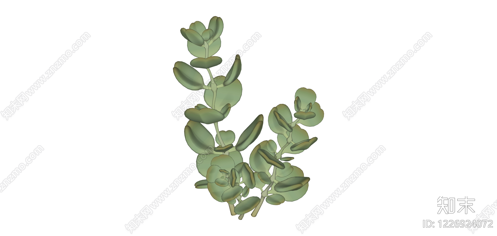 尤加利叶植物组合SU模型下载【ID:1226924072】
