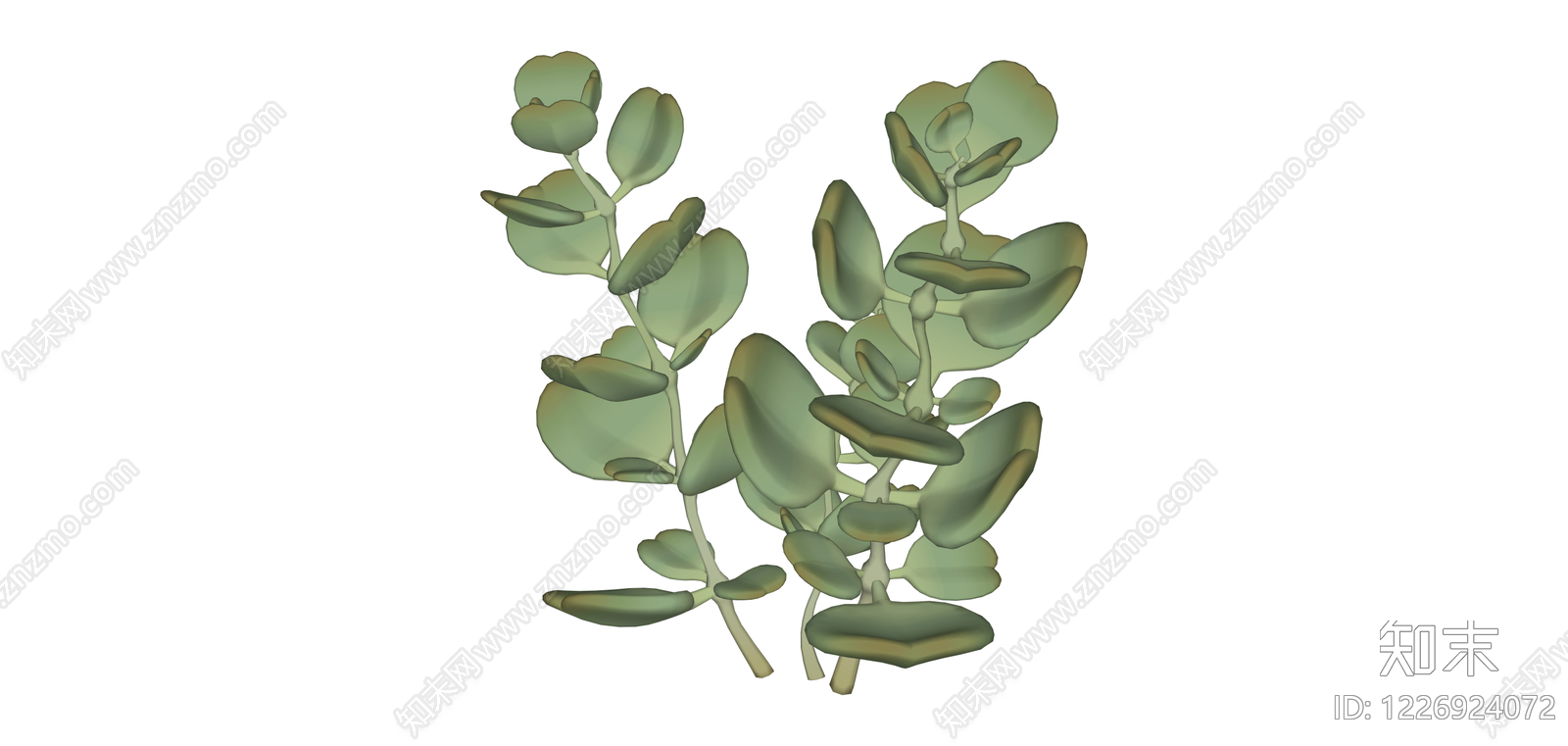 尤加利叶植物组合SU模型下载【ID:1226924072】