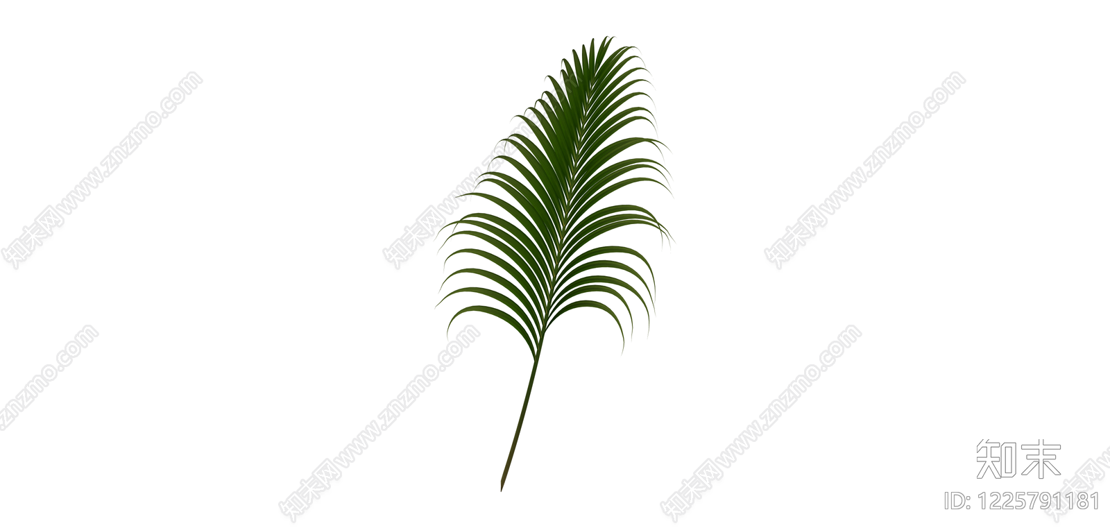 绿色棕榈叶植物SU模型下载【ID:1225791181】
