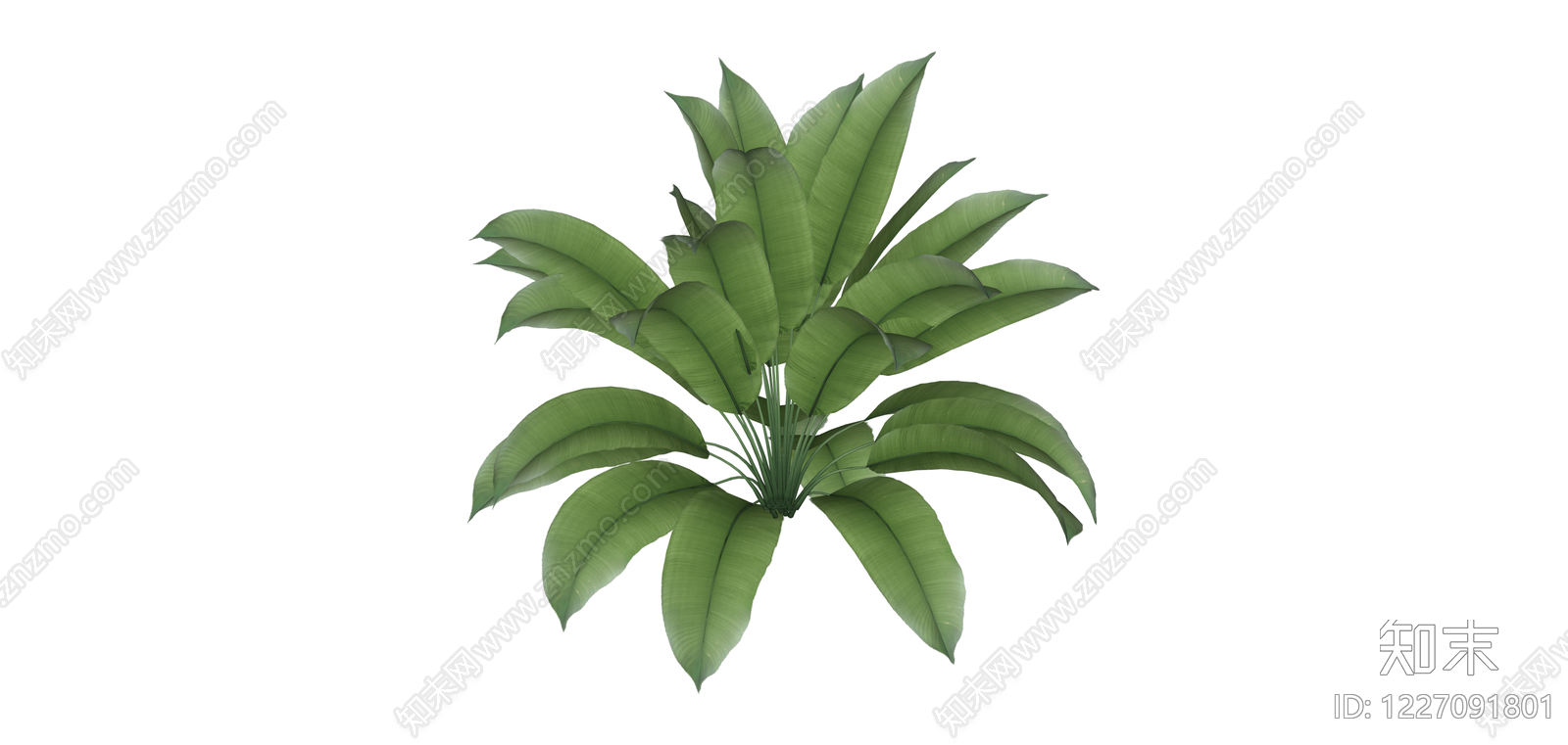 丛生大型绿叶植物SU模型下载【ID:1227091801】