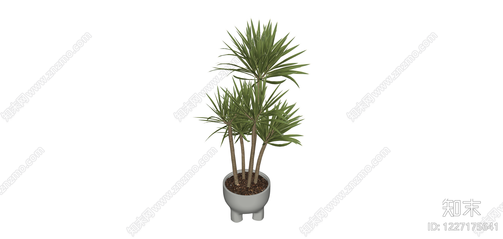 盆栽植物组合模型SU模型下载【ID:1227175641】