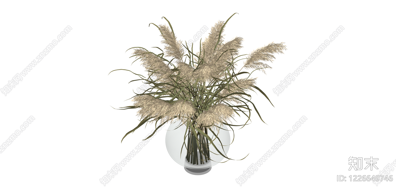 盆栽观赏草SU模型下载【ID:1226649746】