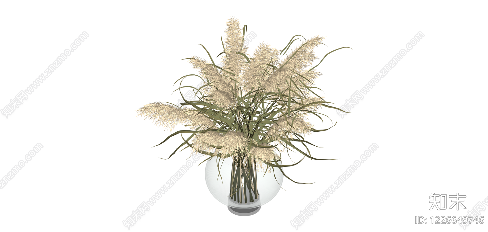 盆栽观赏草SU模型下载【ID:1226649746】