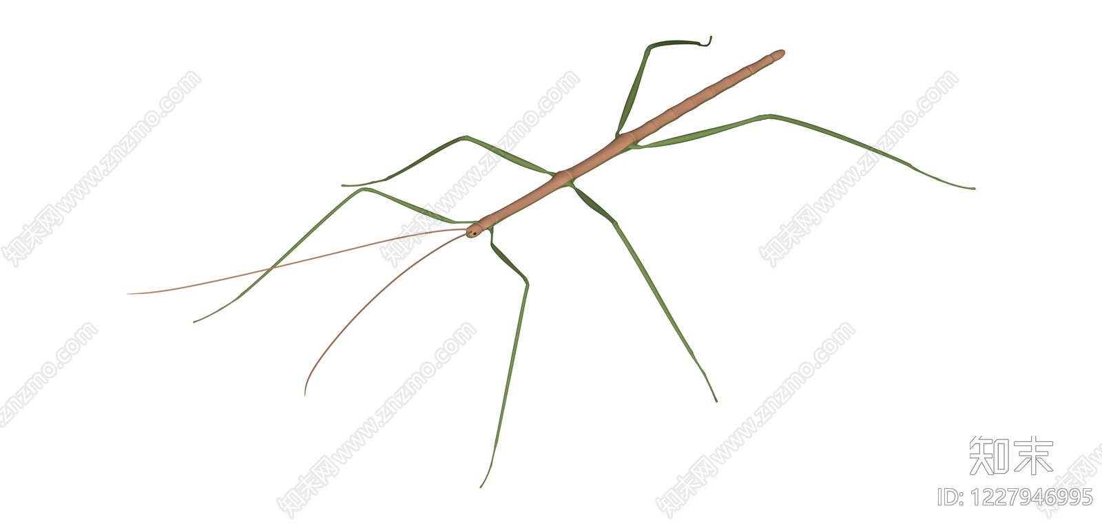 竹节造型昆虫模型SU模型下载【ID:1227946995】