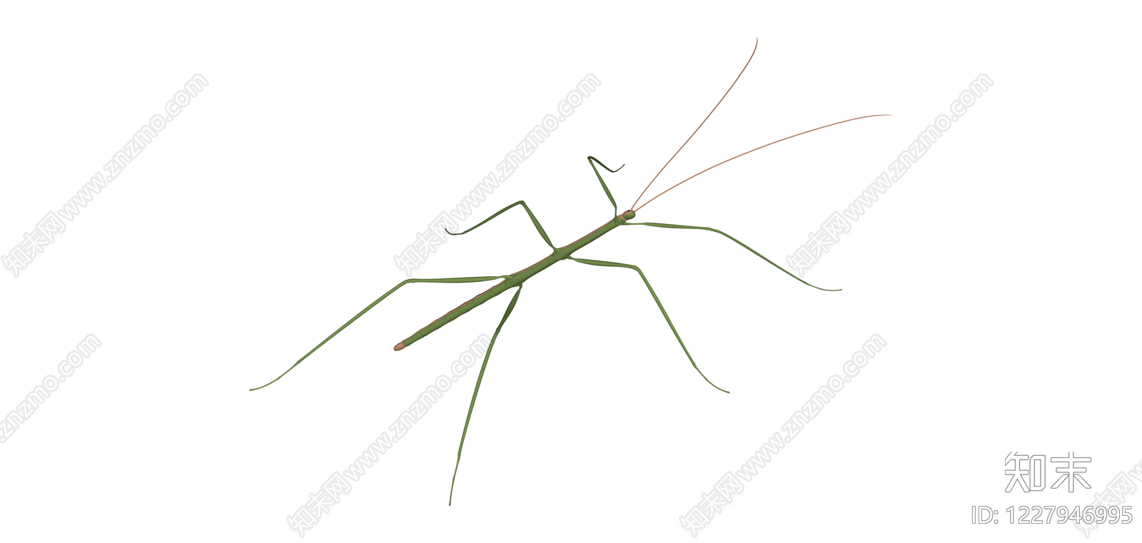 竹节造型昆虫模型SU模型下载【ID:1227946995】