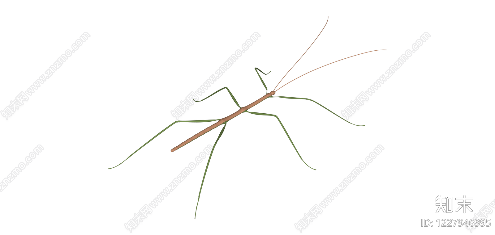 竹节造型昆虫模型SU模型下载【ID:1227946995】