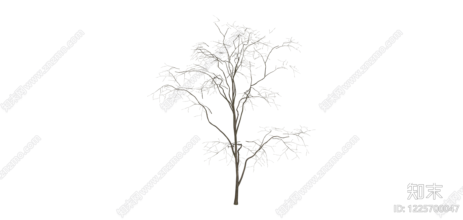完整落叶乔木模型SU模型下载【ID:1225700047】