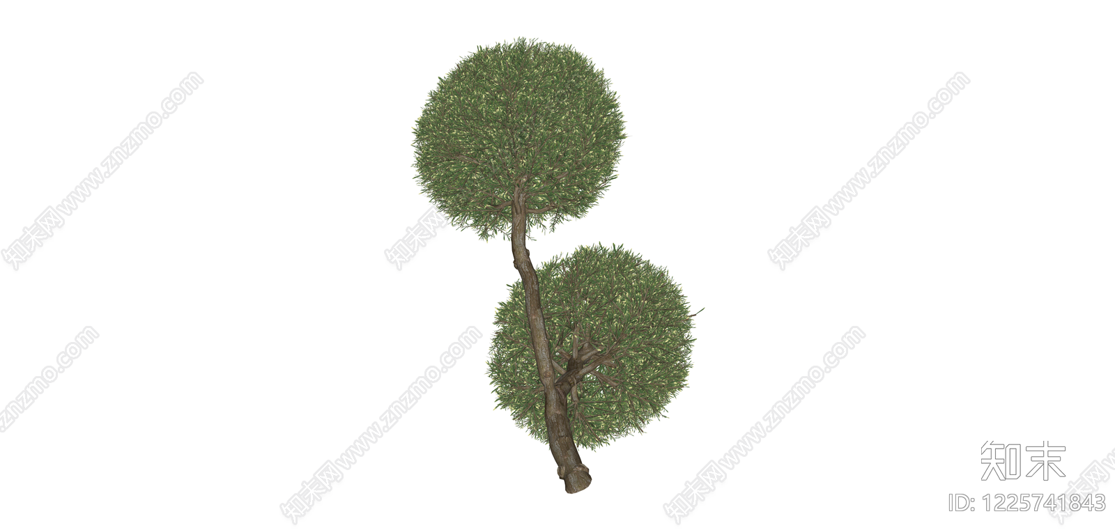 双球冠景观树木SU模型下载【ID:1225741843】