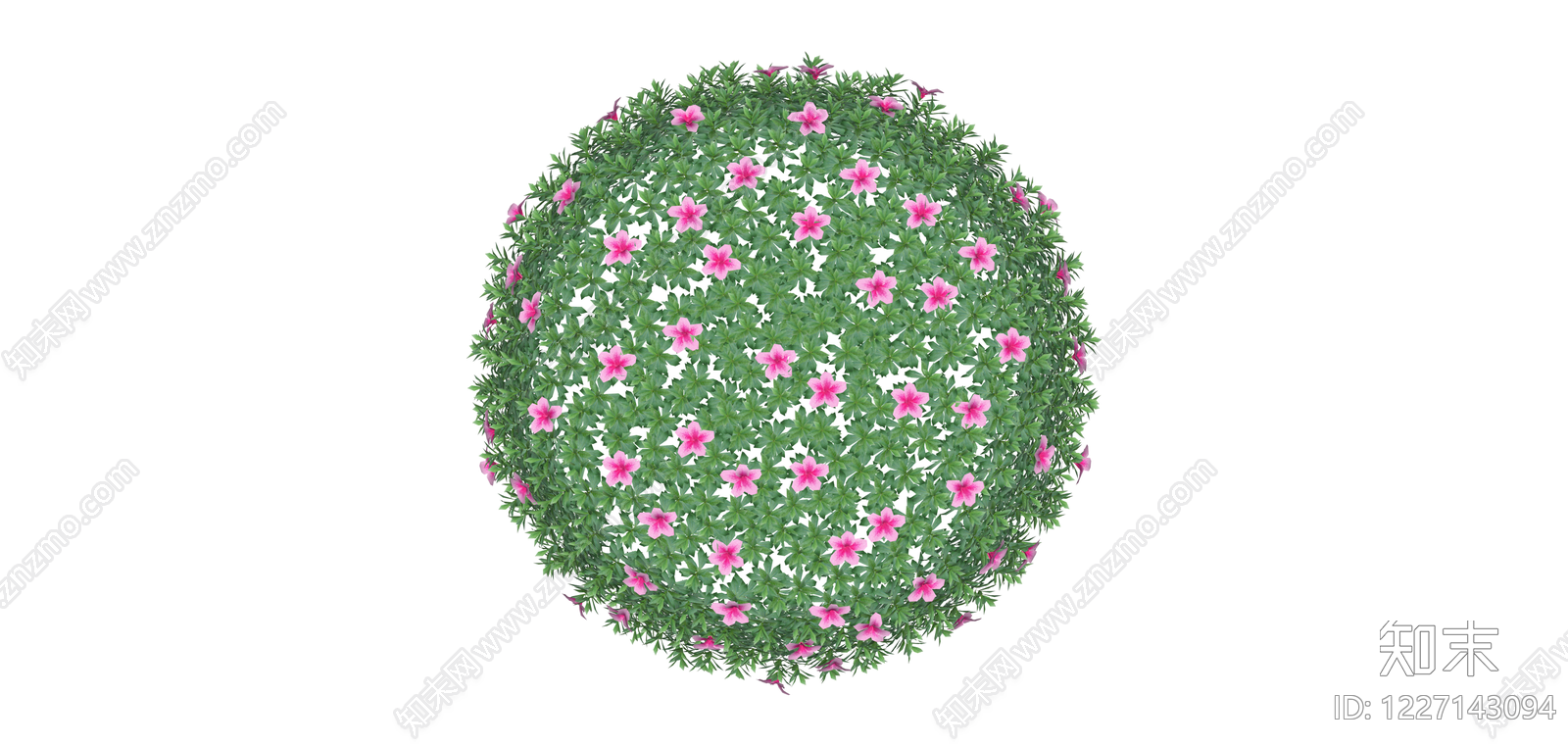 粉色花卉景观灌木球SU模型下载【ID:1227143094】