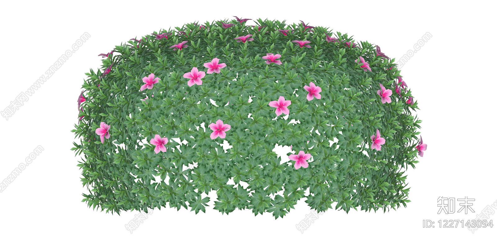 粉色花卉景观灌木球SU模型下载【ID:1227143094】