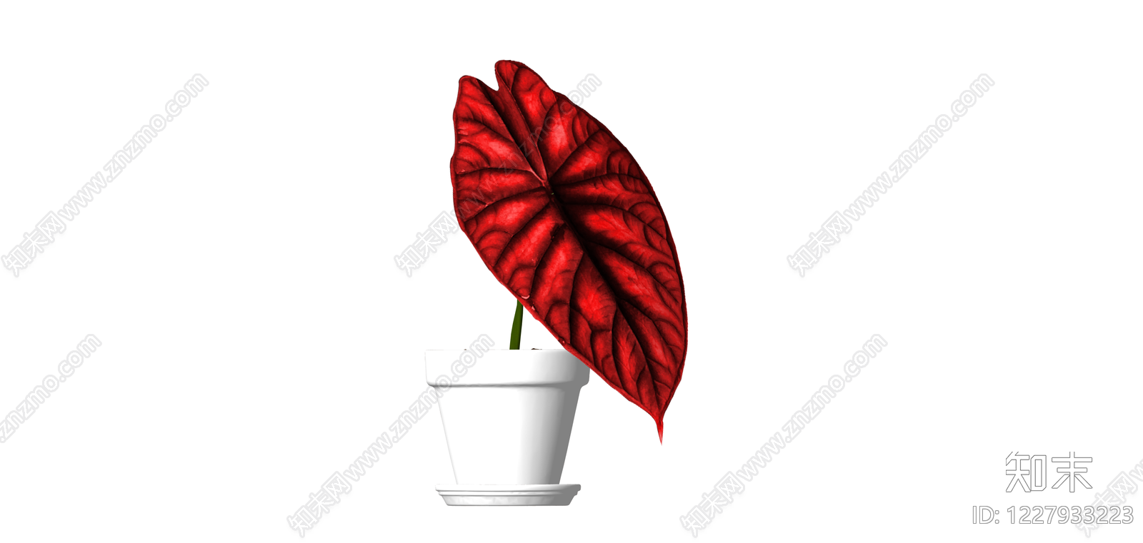 红叶盆栽植物SU模型下载【ID:1227933223】