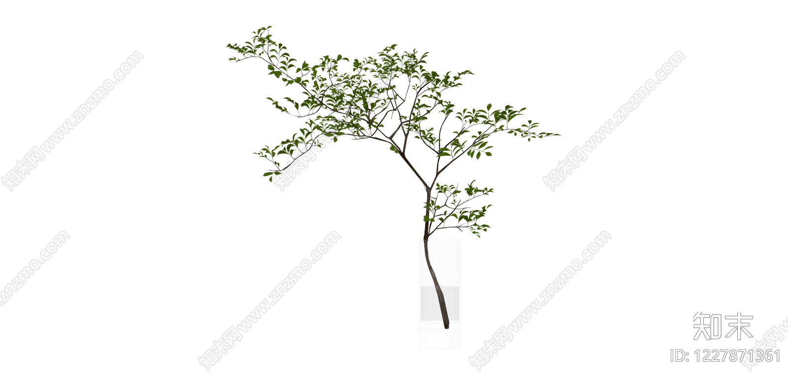 透明花瓶绿植组合SU模型下载【ID:1227871361】