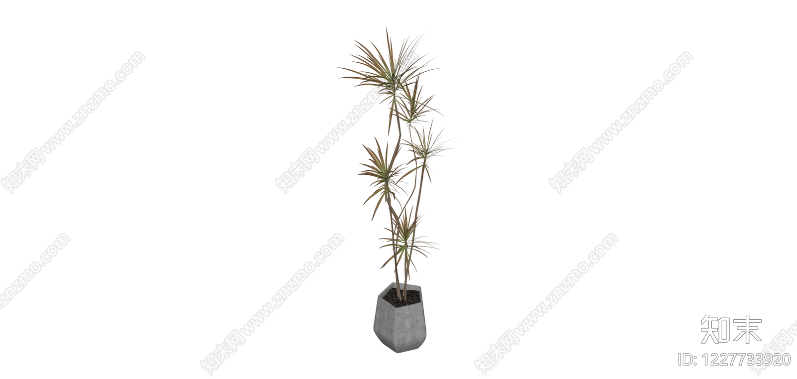 盆栽绿植SU模型下载【ID:1227733920】