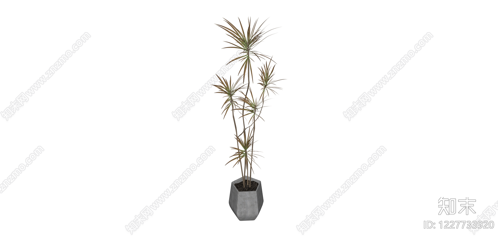 盆栽绿植SU模型下载【ID:1227733920】