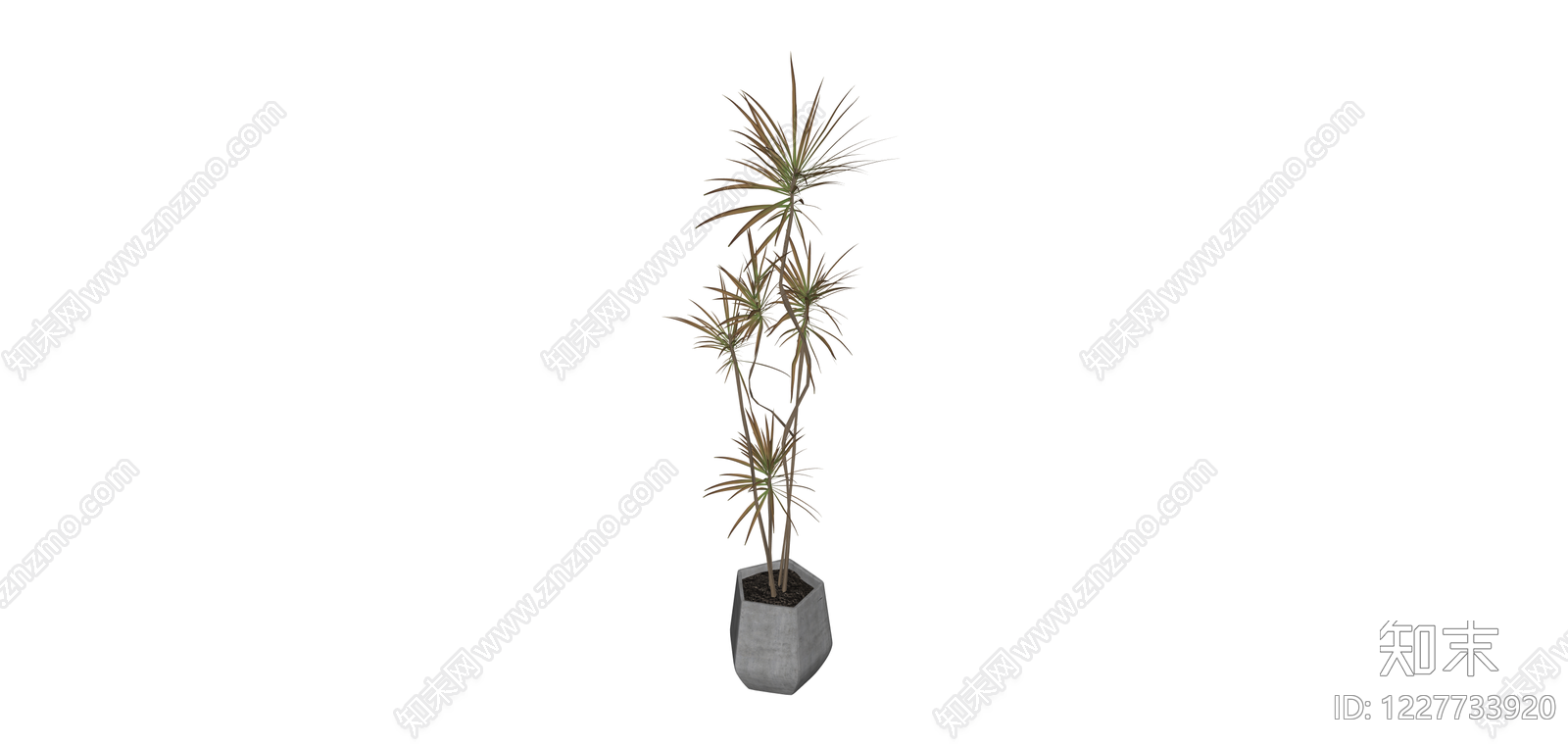 盆栽绿植SU模型下载【ID:1227733920】
