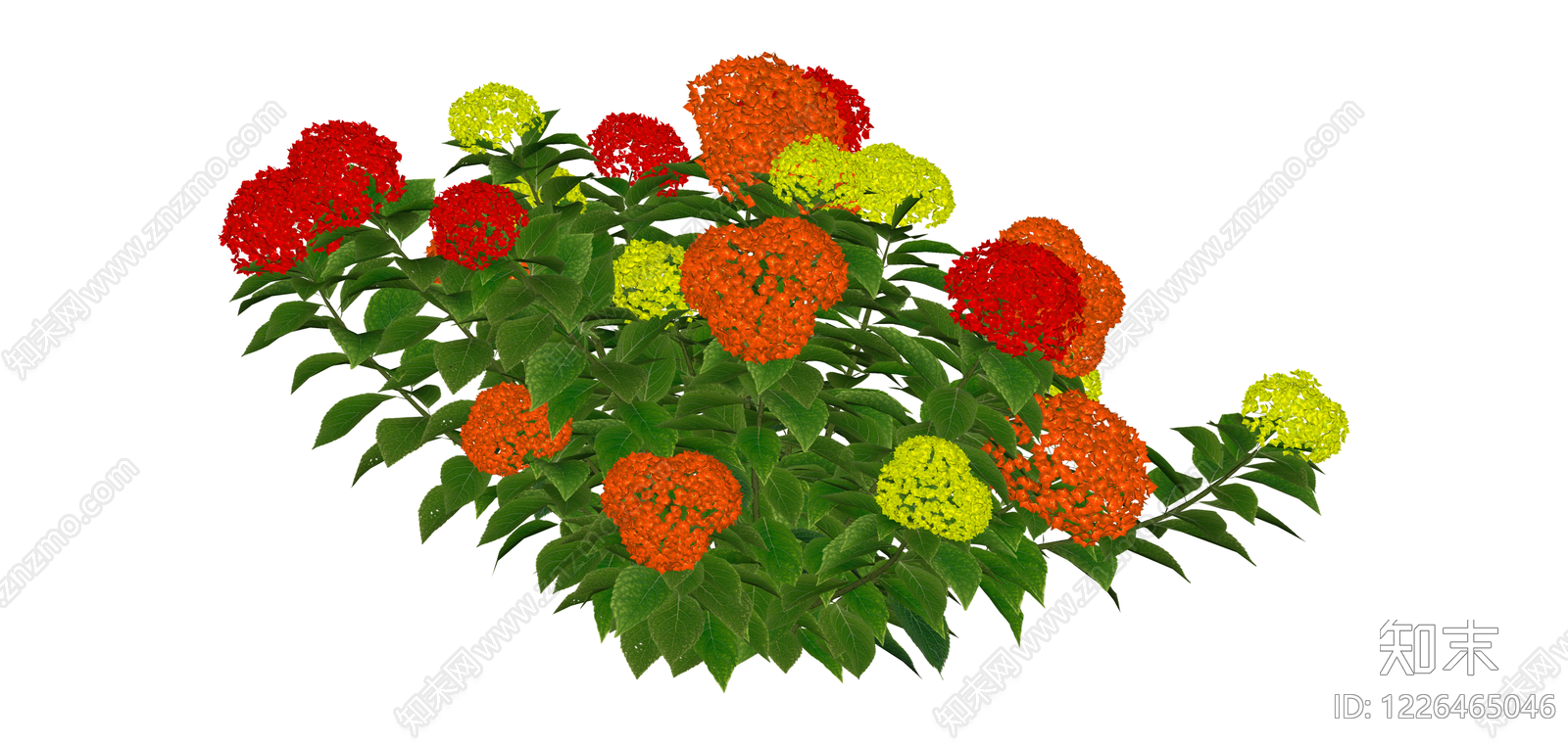 红橙黄三色绣球花丛SU模型下载【ID:1226465046】